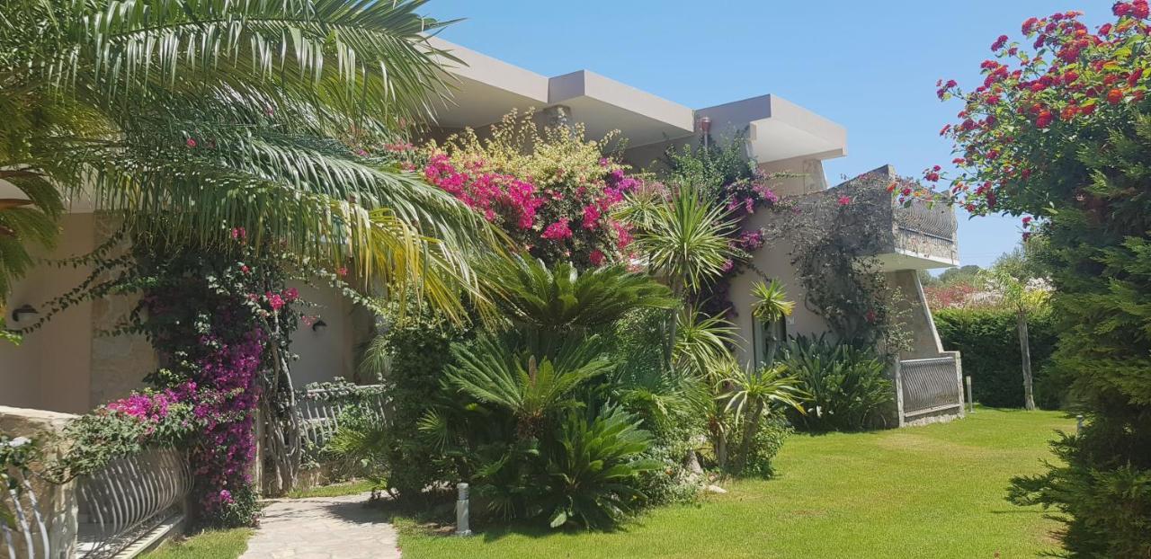 فيلاّسيمِيوس Palm Village المظهر الخارجي الصورة