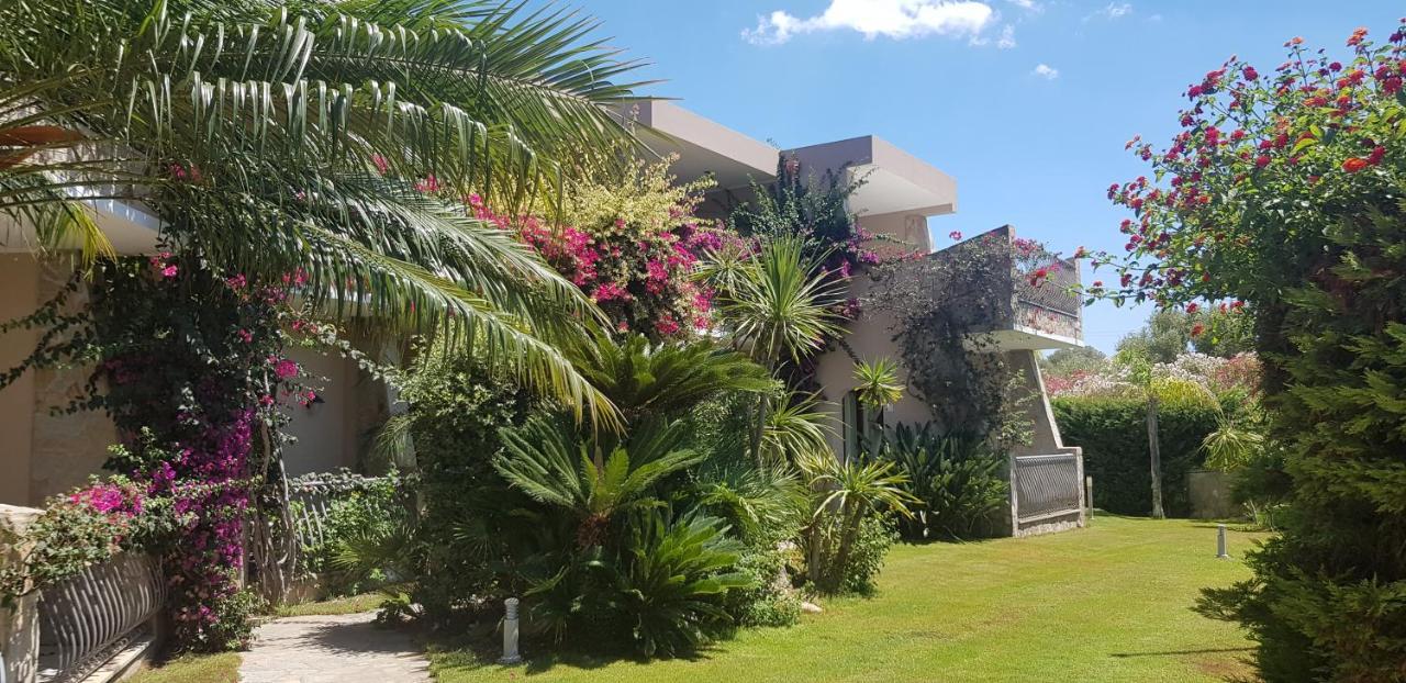 فيلاّسيمِيوس Palm Village المظهر الخارجي الصورة