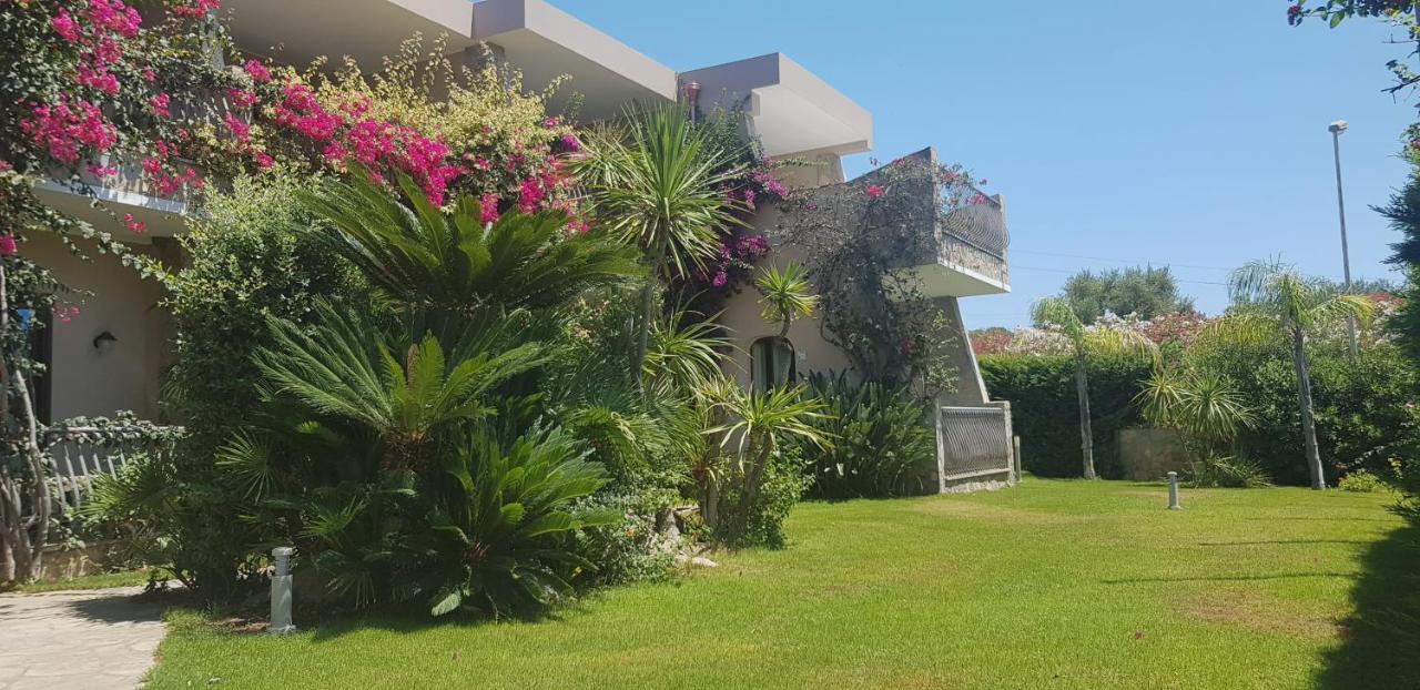 فيلاّسيمِيوس Palm Village المظهر الخارجي الصورة