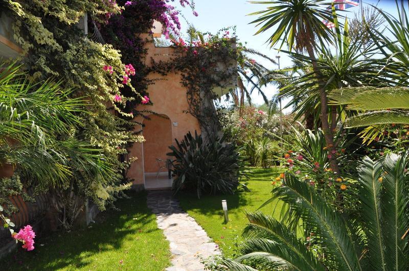 فيلاّسيمِيوس Palm Village المظهر الخارجي الصورة
